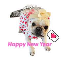 Bawan Austin life - LINE スタンプ | LINE STORE