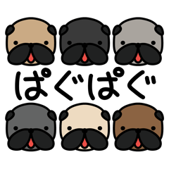 [Usable every day] Pugs