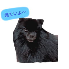 hinata_20250126173351