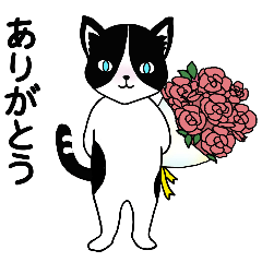 Hachiware CAT everyday words