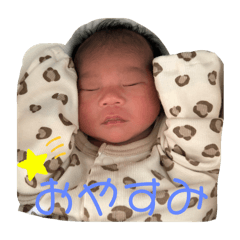 shiho_20250126182100