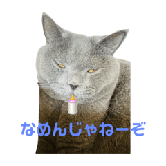puku_20250126162644