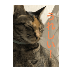 Fuu_20250126172255