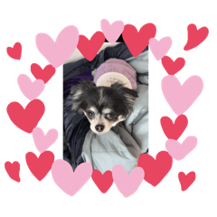 toyo.c_20250126204040