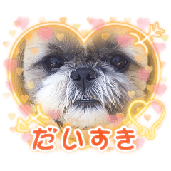 YUKO_20250126