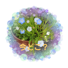 Flower stamp!