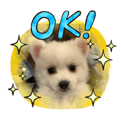 miho_20250126204806