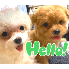 Yukie_20250126193346
