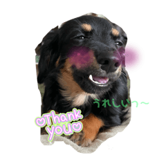 happy_20250126213008