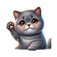 British Shorthair Expressions Too Cute