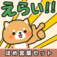 かわいい♪ほめ言葉色々 #柴犬クッキー10