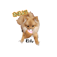 sayuri_20250126201932