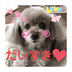 Mai_20250126230411