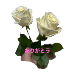 Miki_20250126220542