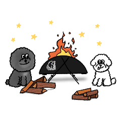 Poodle black&white-camping fun