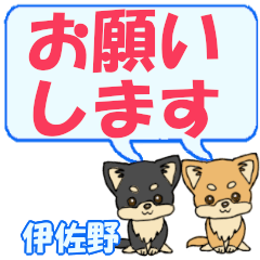 Isano's letters Chihuahua2
