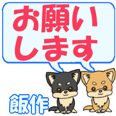 Iisaku's letters Chihuahua2