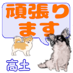 Takatsuchi's letters Chihuahua