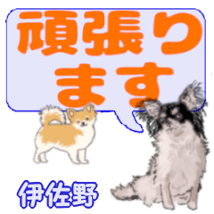 Isano's letters Chihuahua