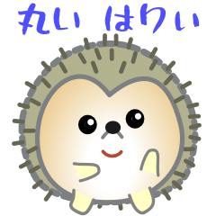 nobobi  round hedgehog