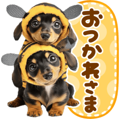 ダックスフント♡春日和 - LINE スタンプ | LINE STORE ダックスフント♡春日和 - LINE スタンプ | LINE STORE