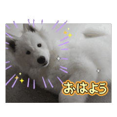 karin_20250127133250