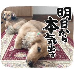kaori_20250127113550