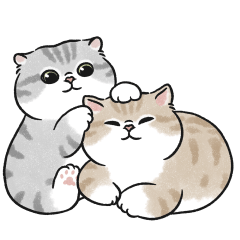 奶油小生甜蜜蜜 (灰白虎斑貓) 無字