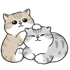 豬咪胖吉甜蜜蜜 (奶油虎斑貓) 無字