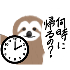 JOJI_20250126225312
