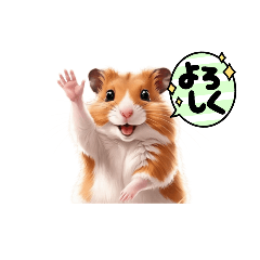 mikan_20250127110757