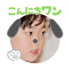 Uchinoko stamp_2025012733005