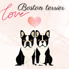 For Boston Terrier Fans Japanese Ver.3