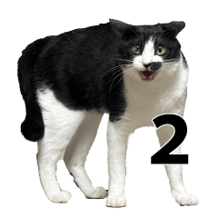8saku cat2