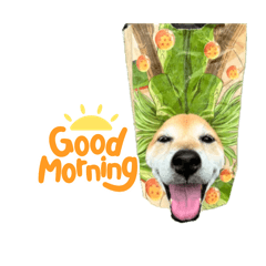 Yuan’s Dog
