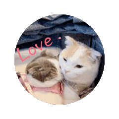 PONTA_20250128024615