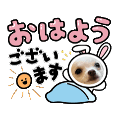momo_20250128075552