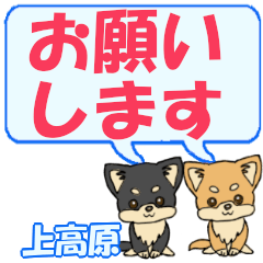 Kamikougen's letters Chihuahua2