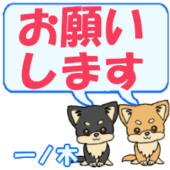 Ichinoki's letters Chihuahua2