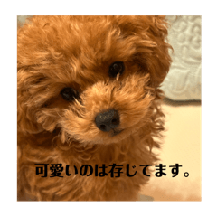 emi_20250127171222