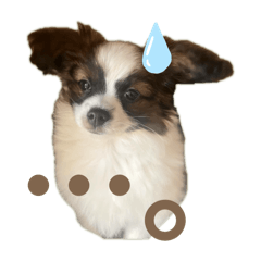 Lyla 0y I