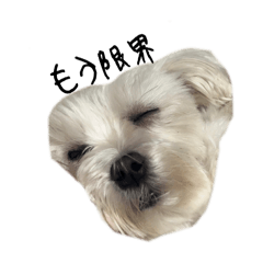 natsu_20250127182056