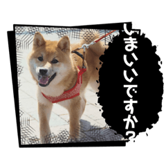Ryu_20250127211914