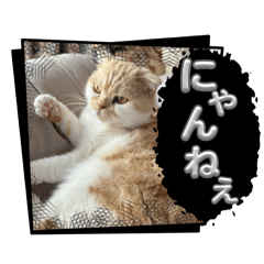 hitomi_20250127154209