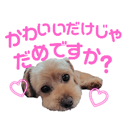 misaki_20250127220422