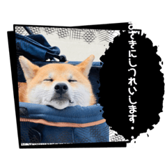 Ryu_20250127205440