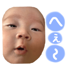piyo_20250127231614
