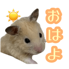 yui_20250128051009