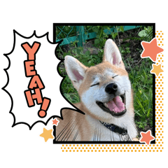 kazuki_20250128004402