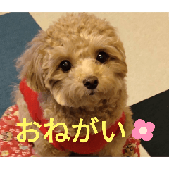 Yukie_20250128103442